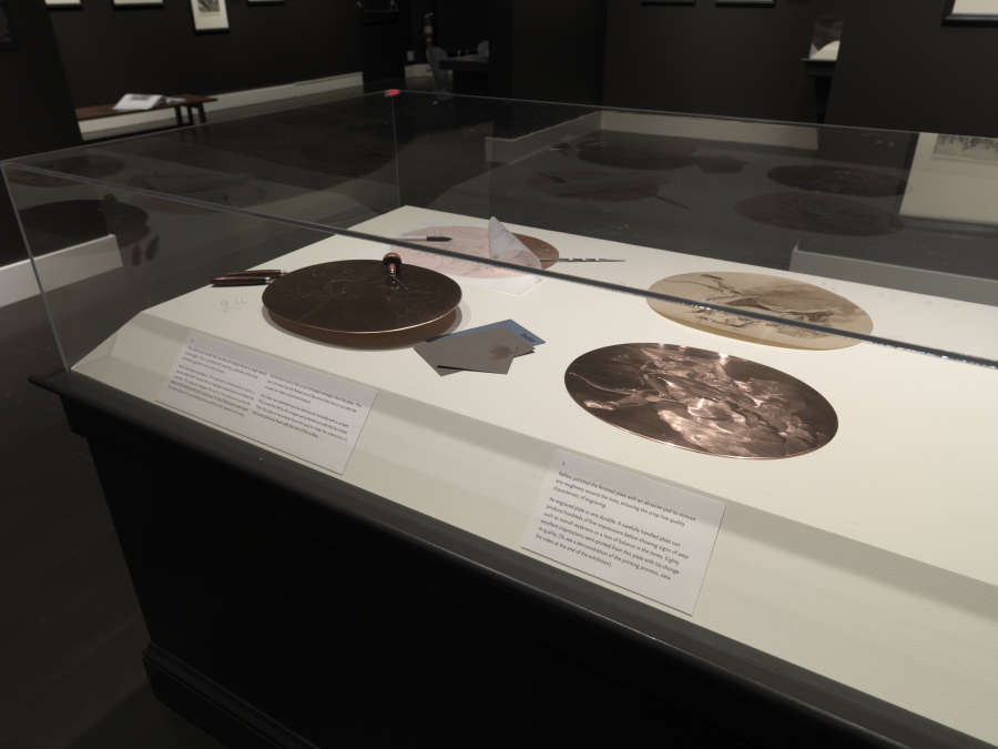 view exhibition image