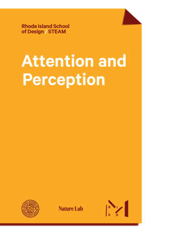 LitID_3564 Attention and Perception_cover.jpg