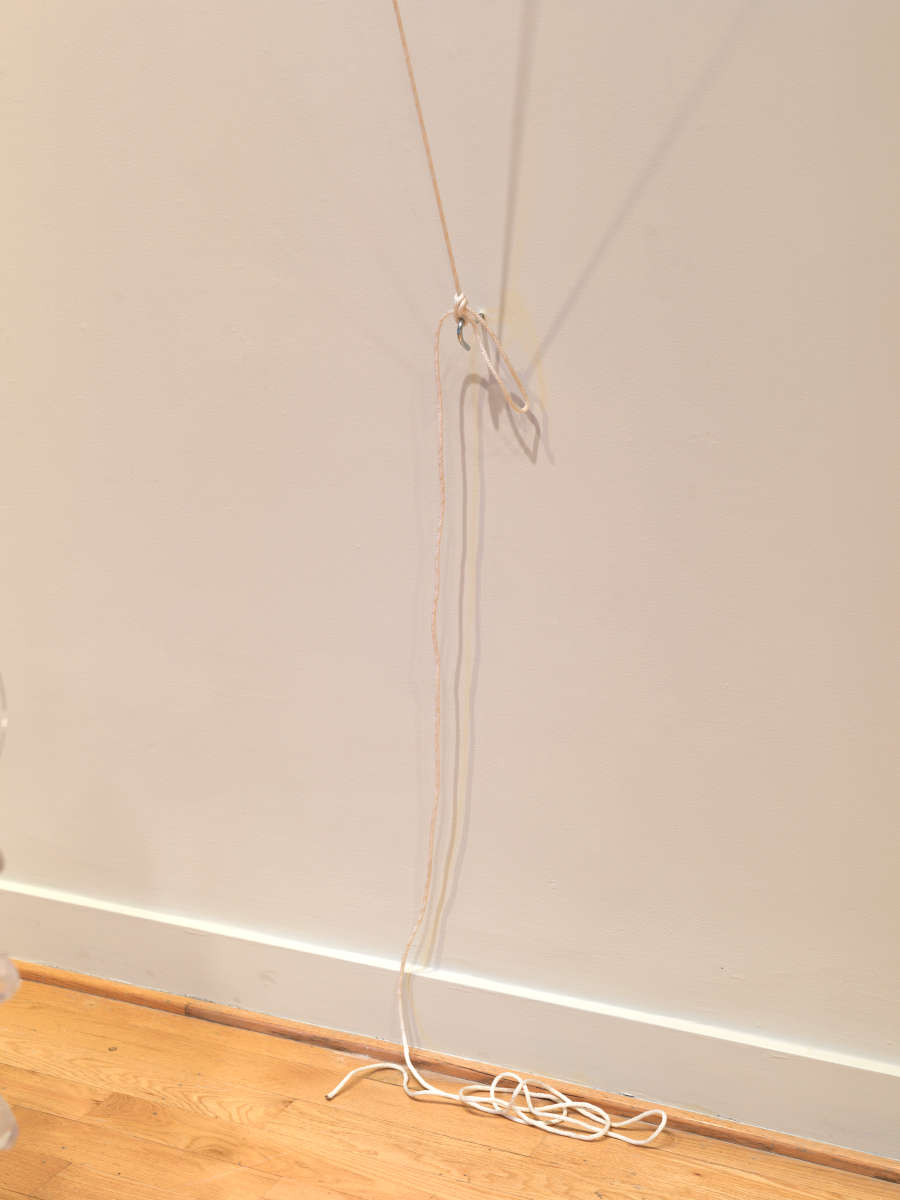 view exhibition image