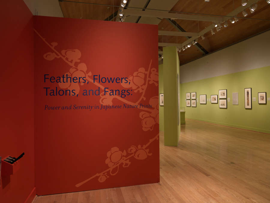 view exhibition image