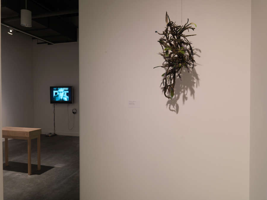 view exhibition image