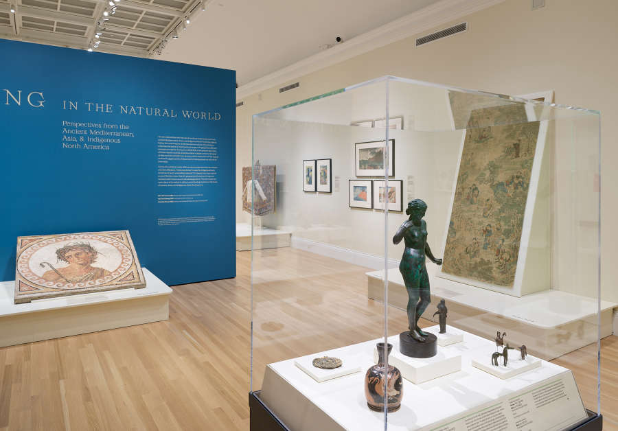 view exhibition image