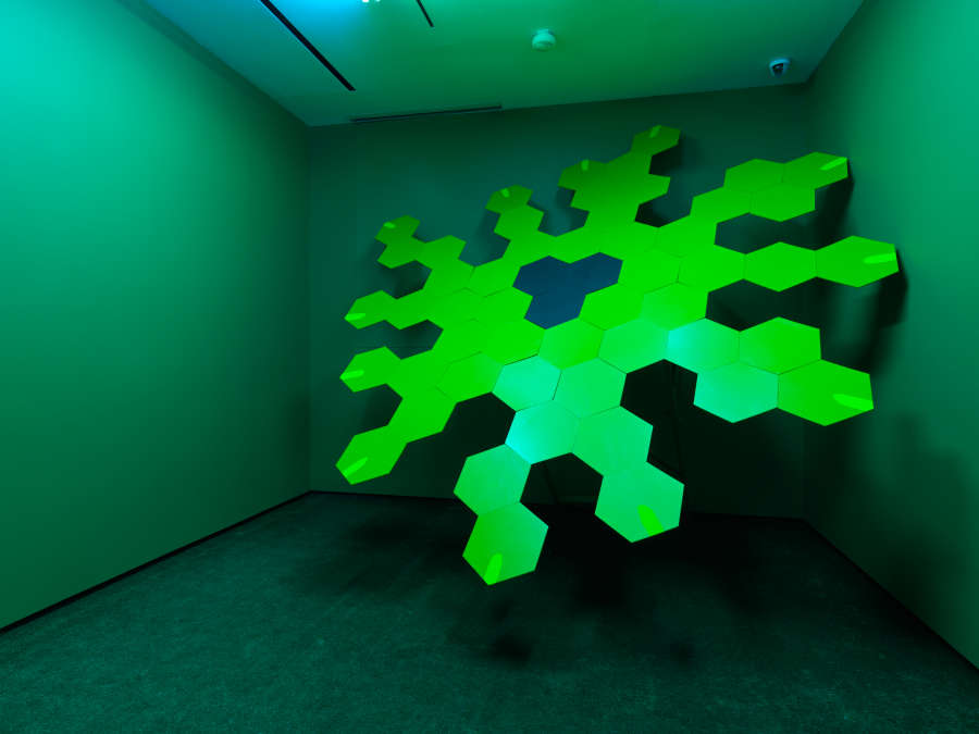 view exhibition image