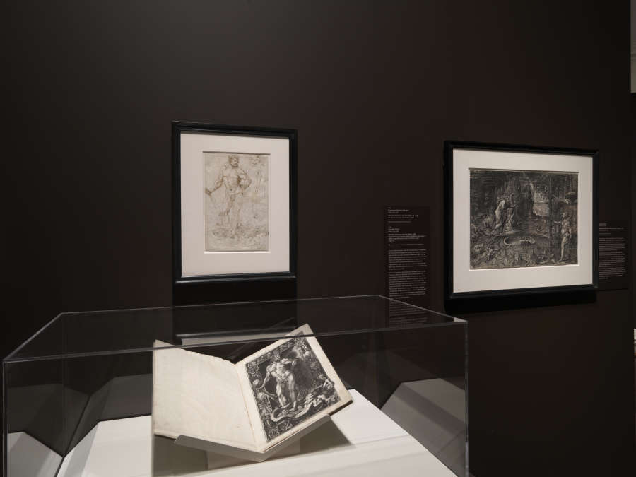 view exhibition image