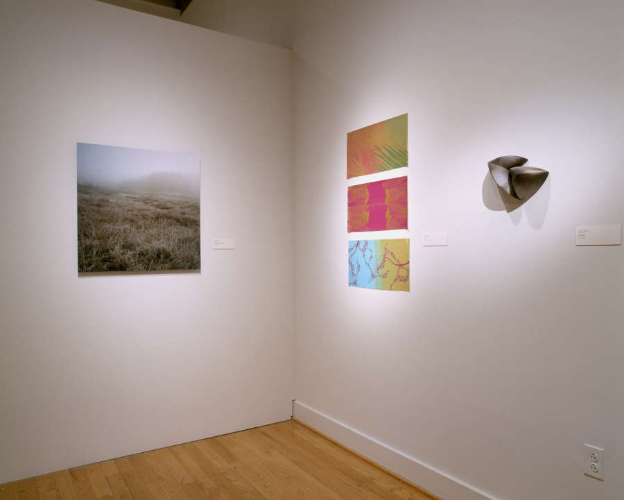 view exhibition image