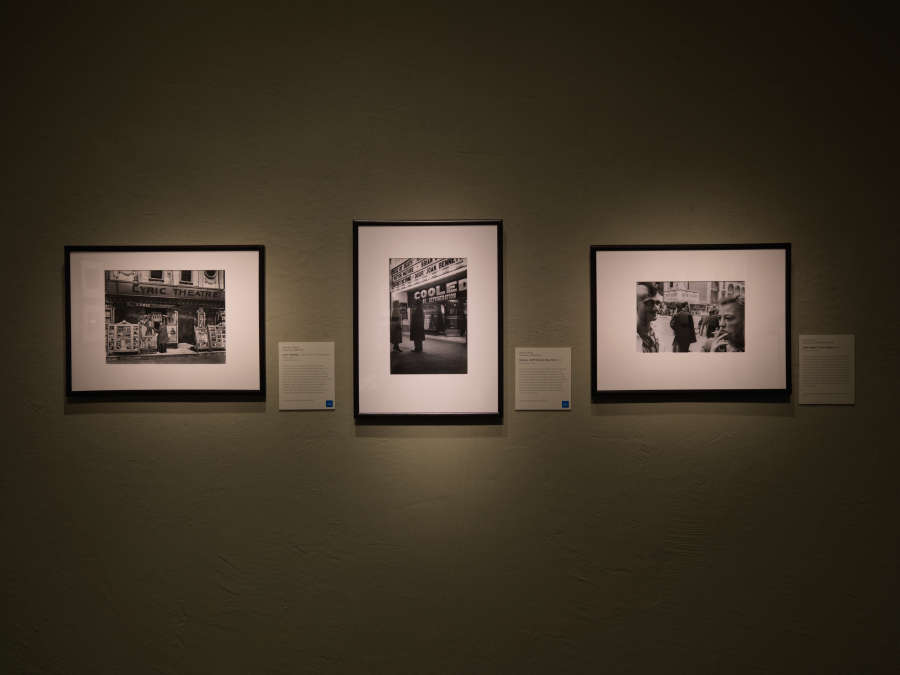 view exhibition image