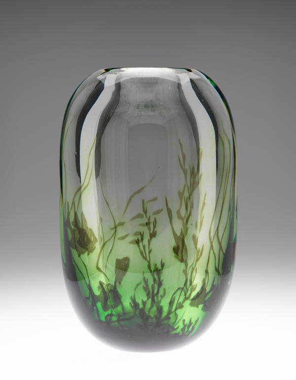 Green aquatic plants float on a translucent glass container centered on a gray backdrop. The glass reflects bright lights, and a slight green glow emanates from the bottom.