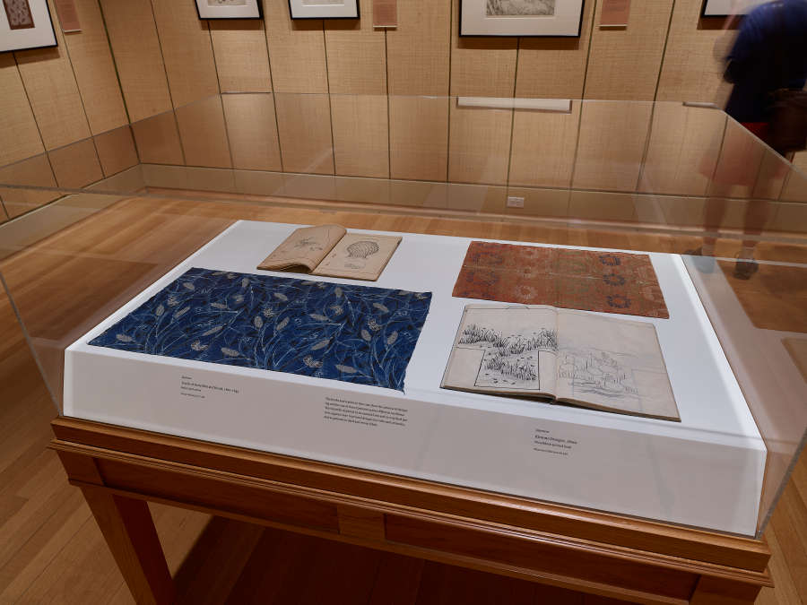 view exhibition image