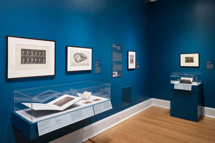 view exhibition image