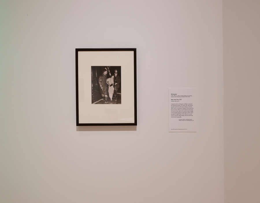 view exhibition image