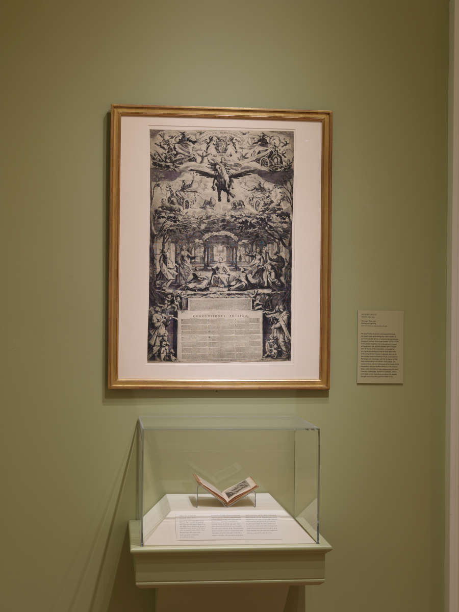 view exhibition image