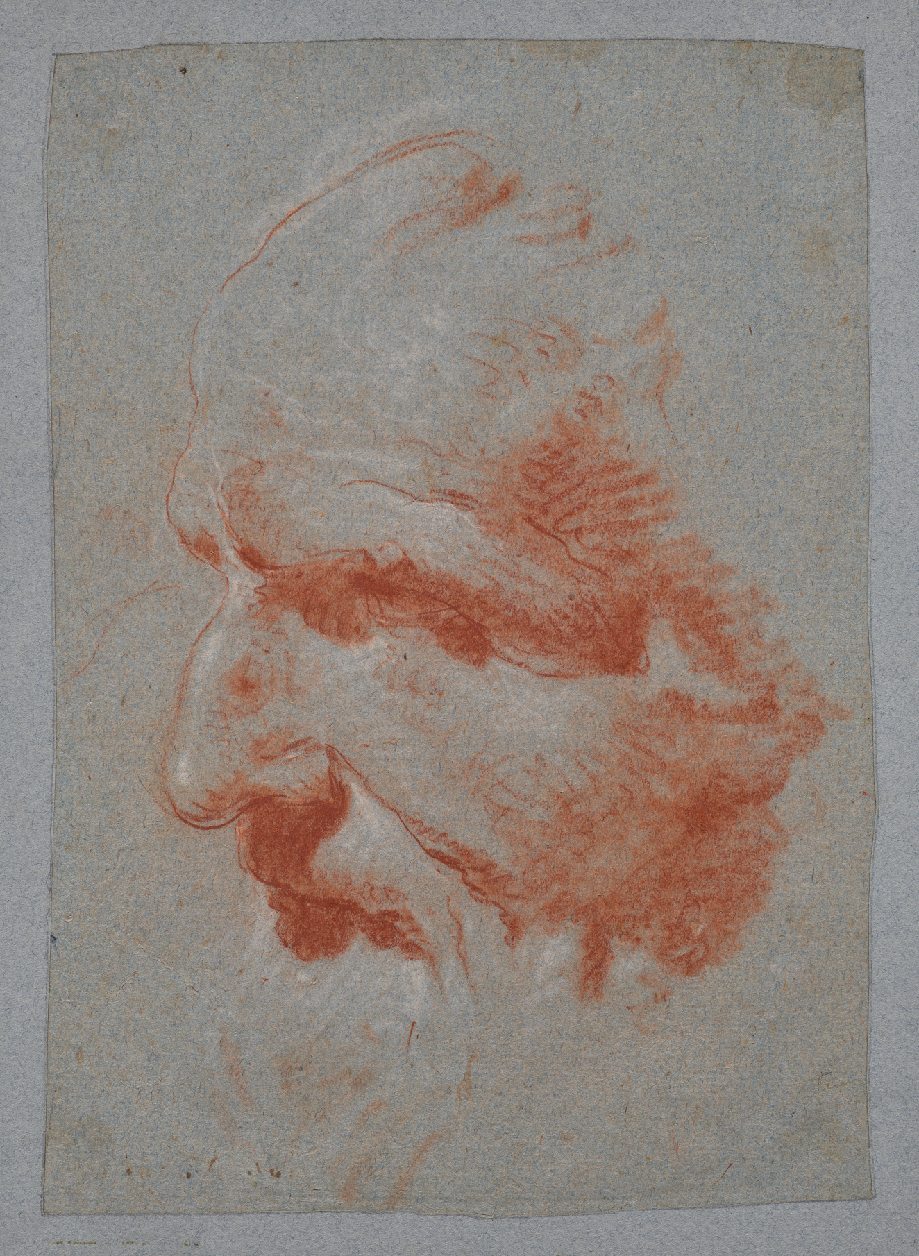 A red and white chalk study of Vittoria’s marble bust of Guilio Contarini. Contarini is seen in profile, his flowing beard and hair merging with the white of the page.