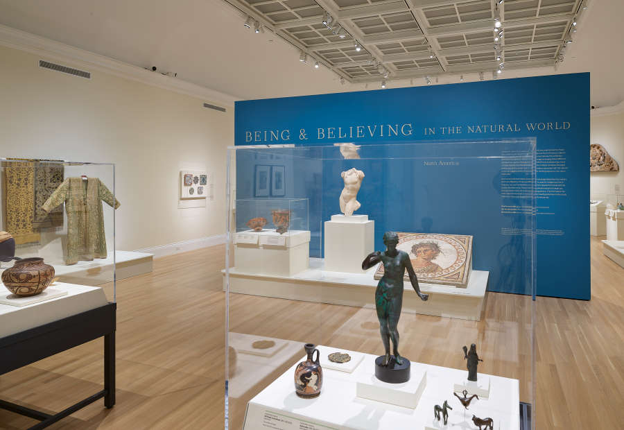view exhibition image