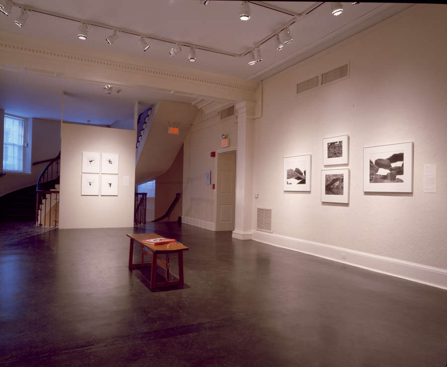 view exhibition image