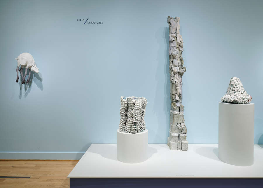 view exhibition image