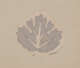 Decorative motif depicting a silver gray leaf with crisp rounded edges and highlighted veins on a neutral backdrop.