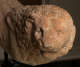 Carved lion figure with intricate mane detailing and a slightly eroded face.