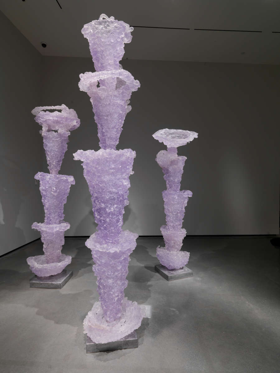 view exhibition image