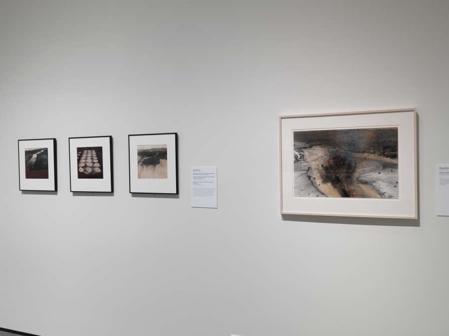 view exhibition image