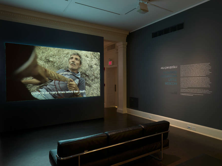 view exhibition image