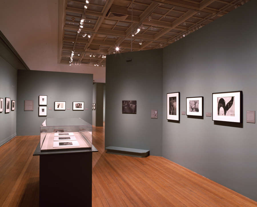 view exhibition image