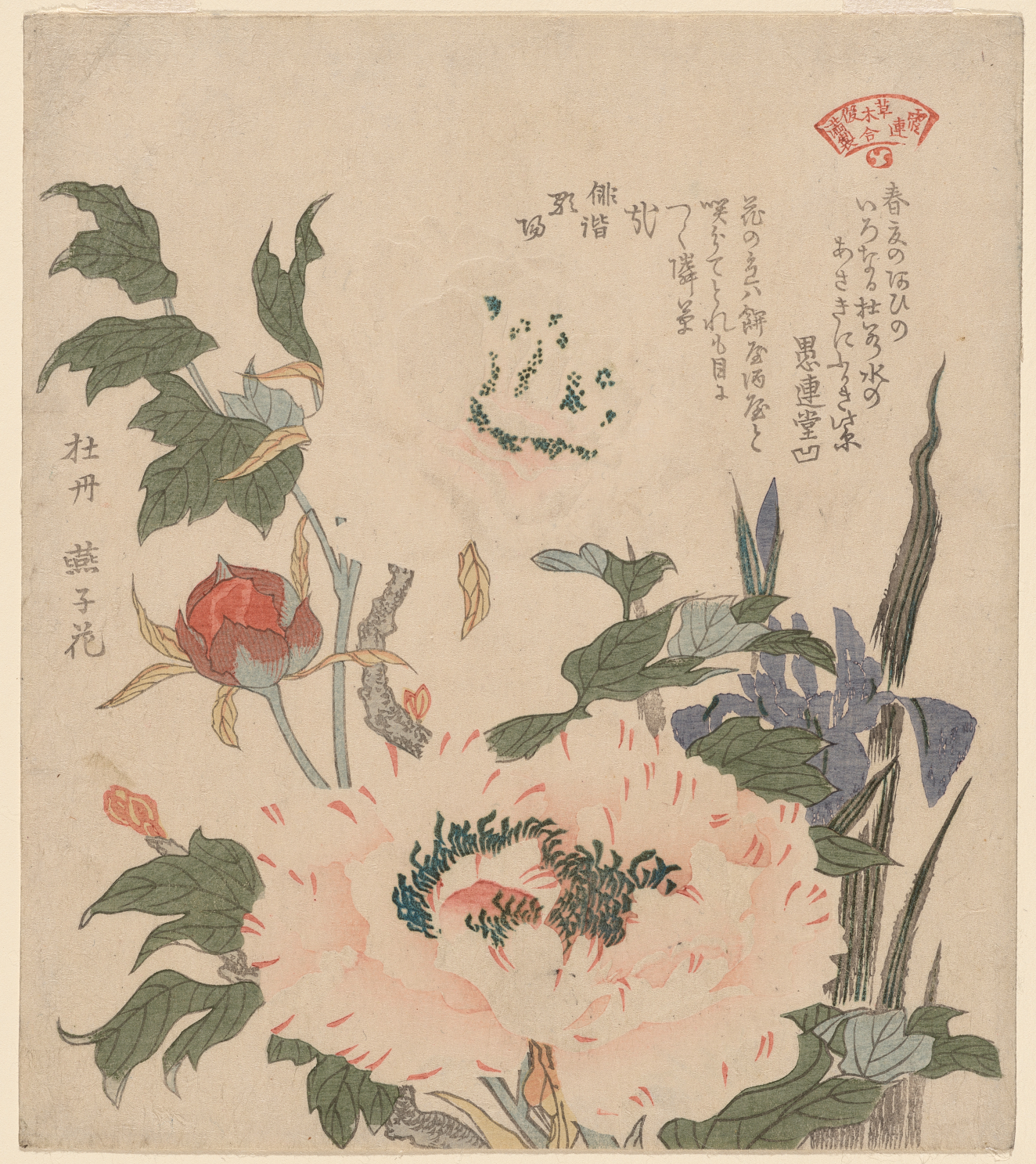 Large, embossed white peonies surrounded by indigo flowers and dark green foliage, accented by calligraphy on a textured, light gray background.