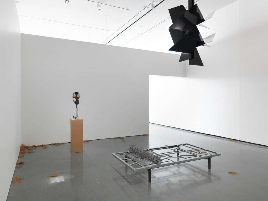 view exhibition image