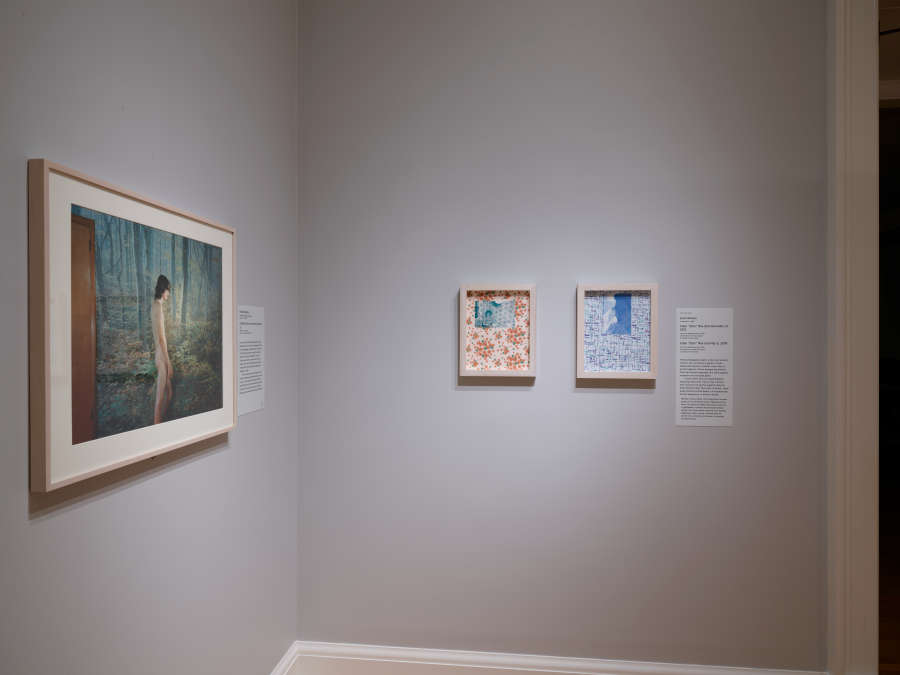 view exhibition image