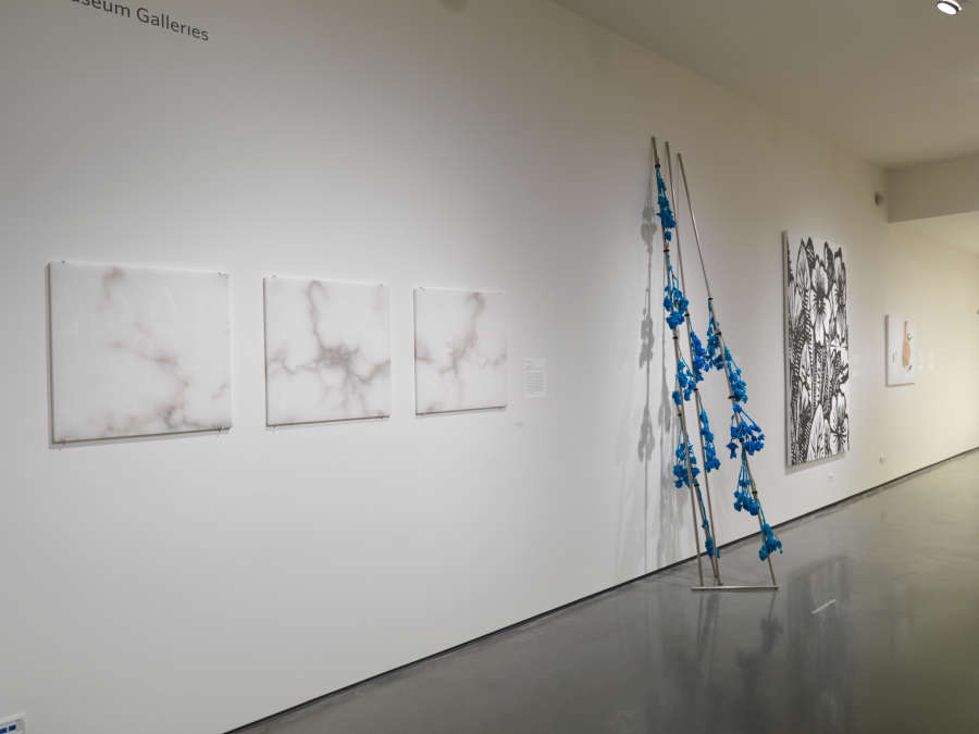 view exhibition image