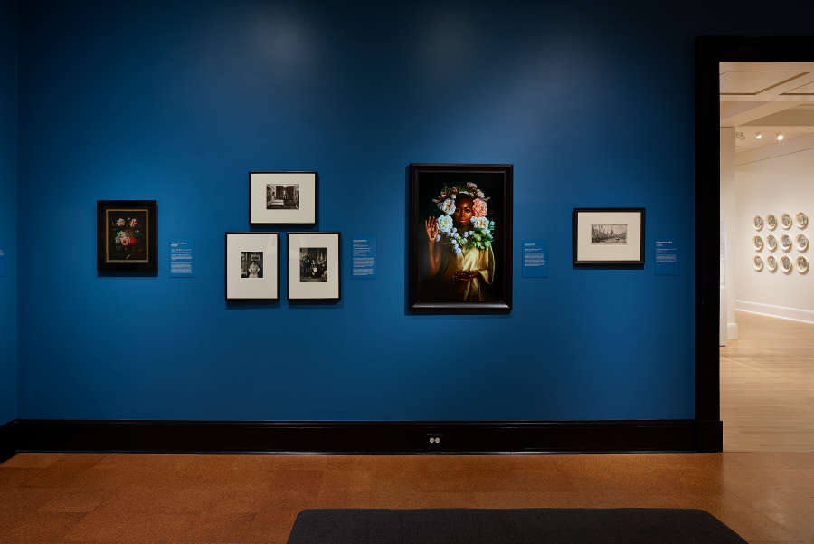 view exhibition image