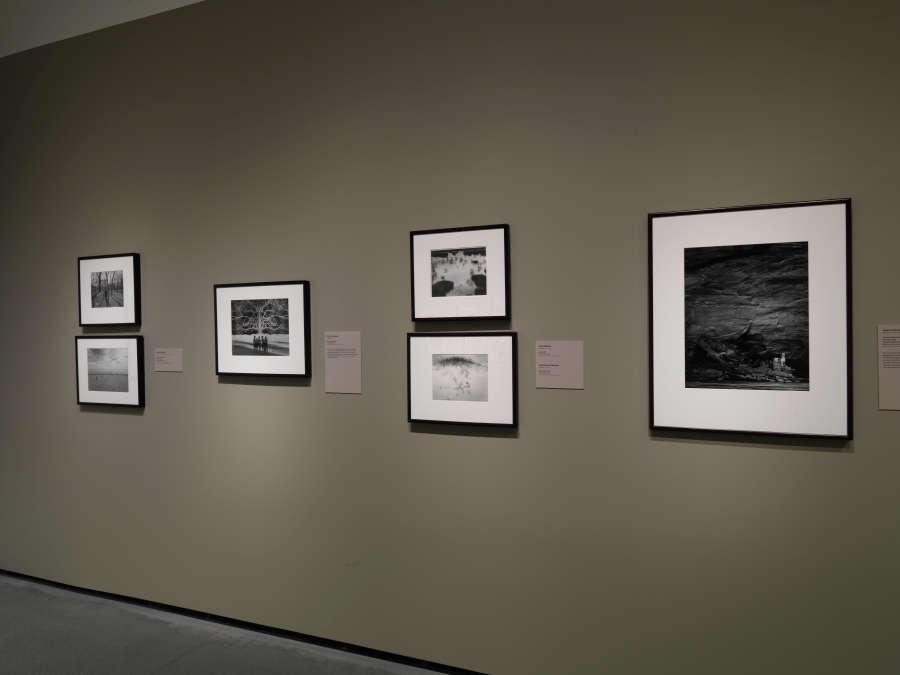 view exhibition image