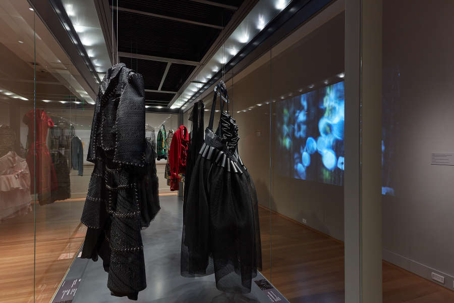 view exhibition image