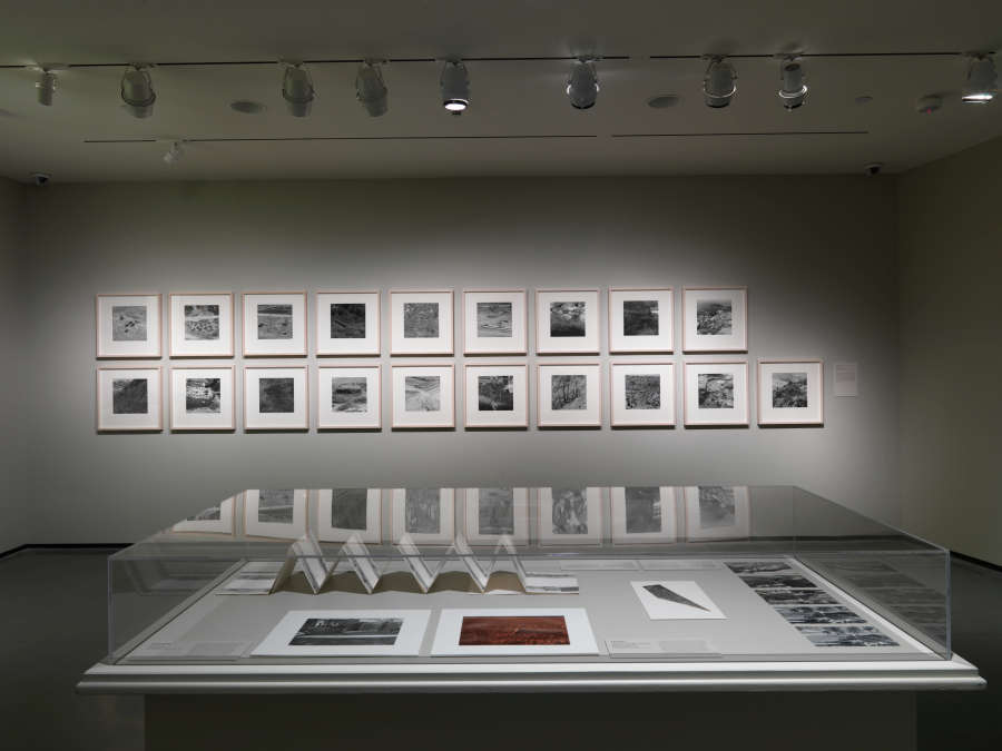 view exhibition image