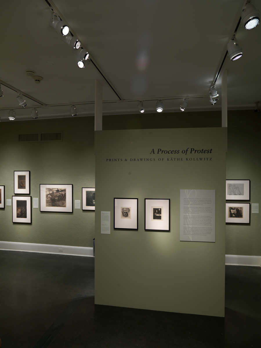 view exhibition image