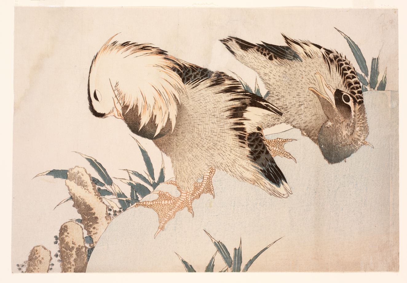 A pair of mandarin ducks resting and preening on a riverside rock, surrounded by brown cattails and tall green reeds on a pale beige background. 