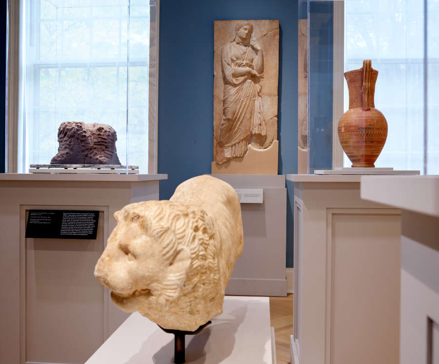 view exhibition image