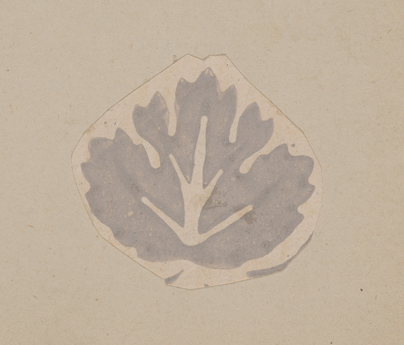Decorative motif depicting a silver gray leaf with crisp rounded edges and highlighted veins on a neutral backdrop.