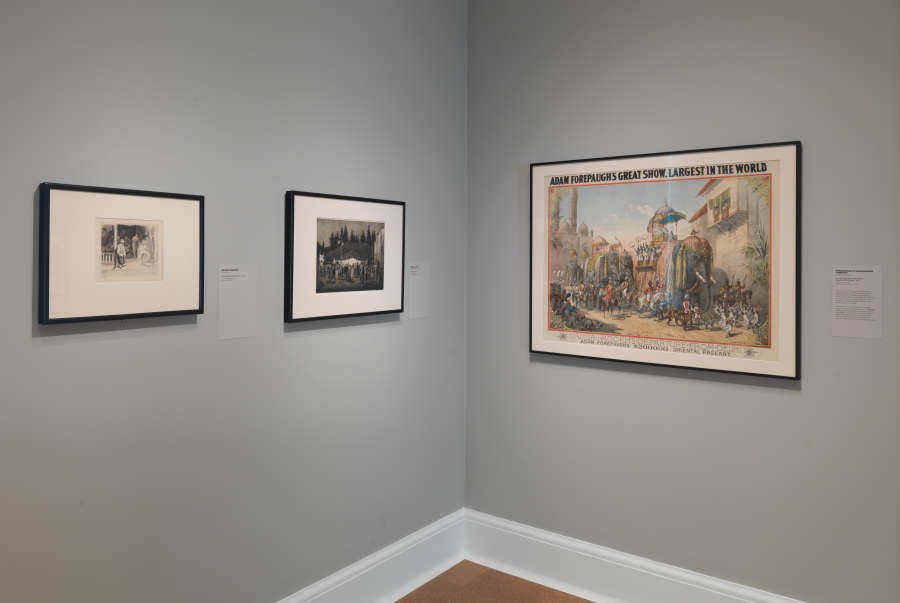 view exhibition image
