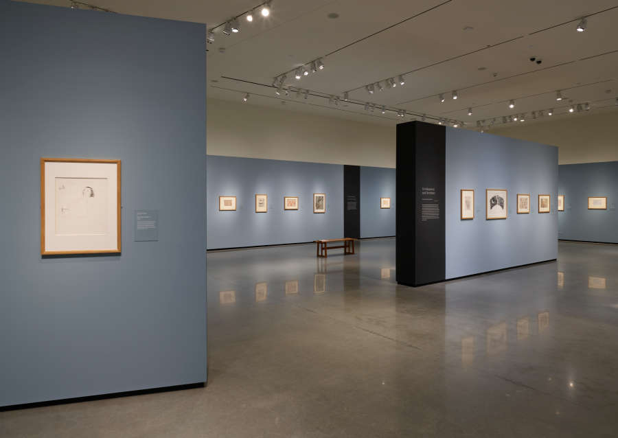 view exhibition image
