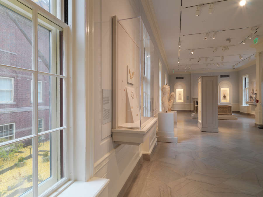 view exhibition image