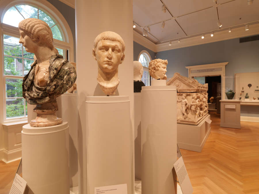 view exhibition image