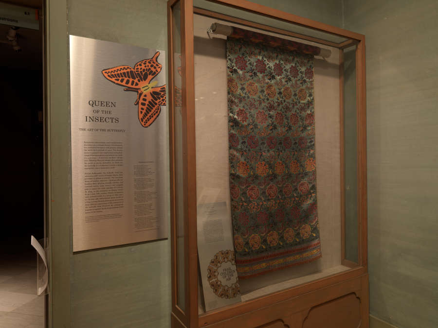 view exhibition image