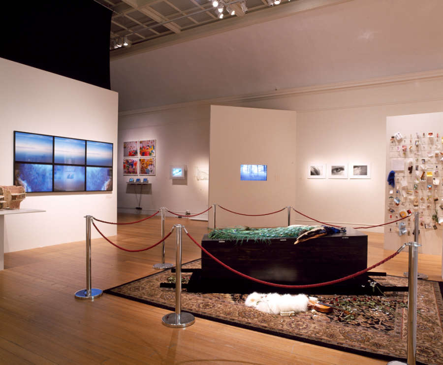 view exhibition image