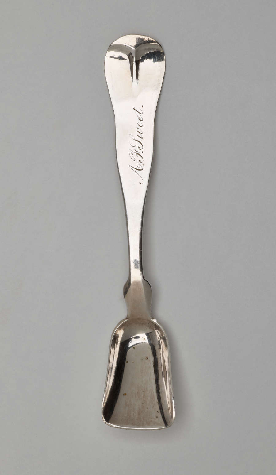 A silver salt spoon with a bowl that comes to a blunt flat tip and a neck that starts out thinner and goes to a thicker rounded handle.
