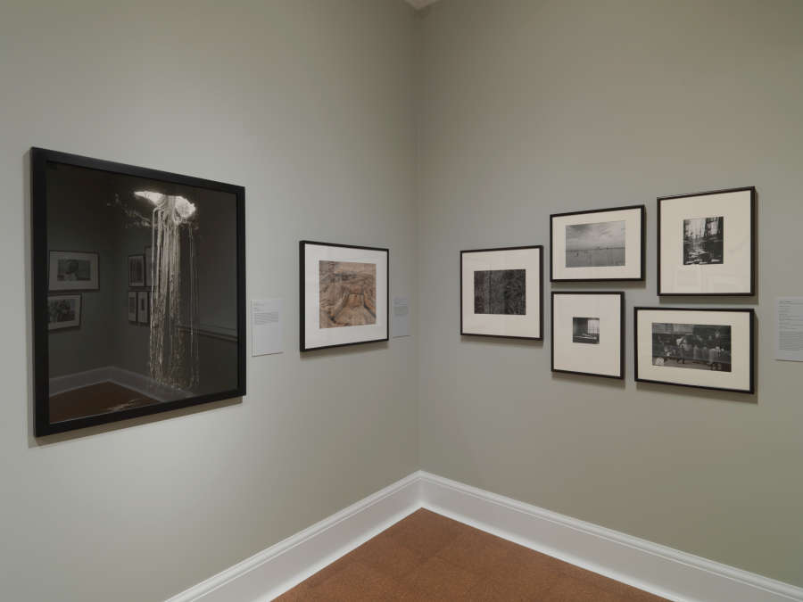 view exhibition image
