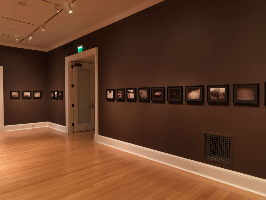view exhibition image