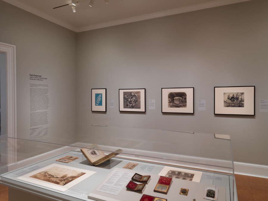 view exhibition image