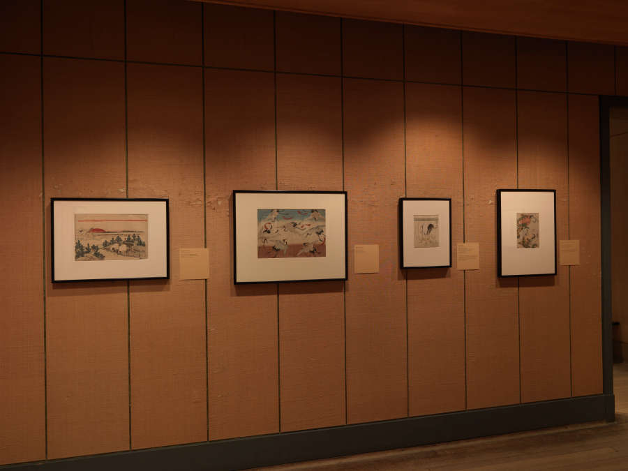 view exhibition image