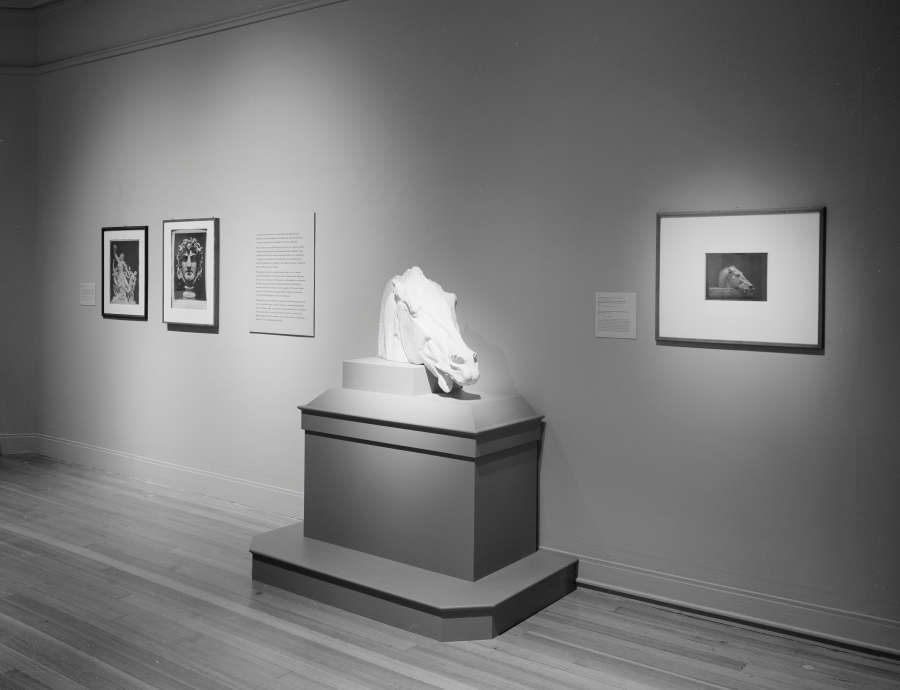 view exhibition image