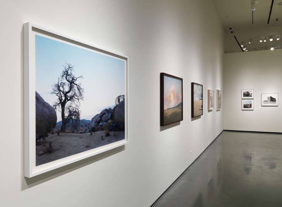 view exhibition image